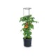 Kvetináč na pestovanie paradajok TOMATO Grower antracit 39,2cm